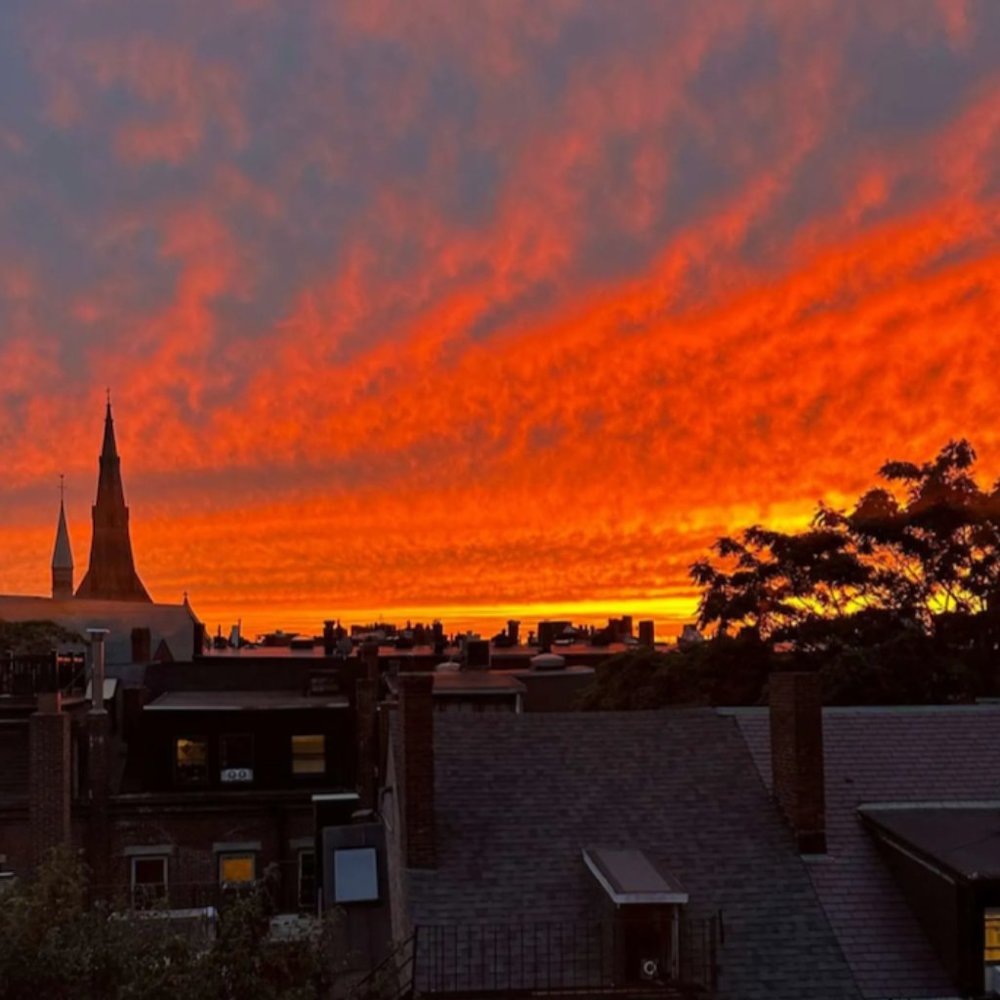 Meet your Posher, Gwyn